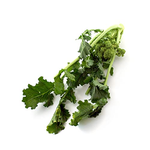 Stängelkohl/Cime di Rapa (Brassica rapa) - ca. 500 Samen