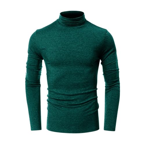 Men's Slim Fit Turtleneck Pullover Lightweight Knitted Pullover Sweaters Basic Designed Stretch Long Sleeve Sweaters4