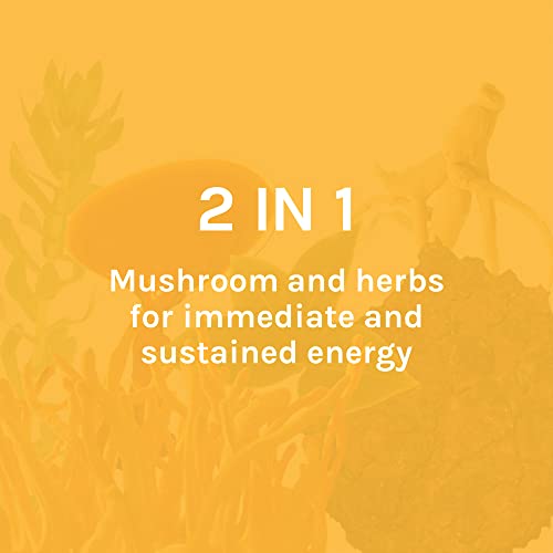 Host Defense, Mycobotanicals Energy Capsules, Promotes Immediate And Sustained Energy, Mushroom Supplement, 60 Capsules, Unflavored #TOP3