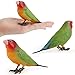 ibasenice Birds Figures Bird Toys Miniature Figurines, Tiny Toys Miniature s Parakeet Plush Plastic Parrot Model Outside Outside