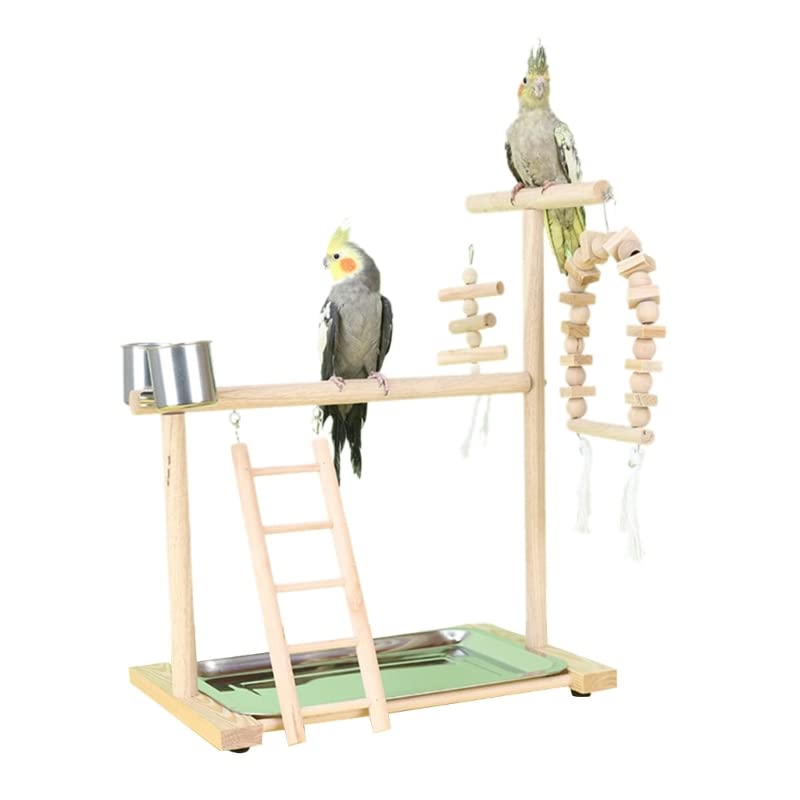 Percha para pájaros Soporte de Percha for pájaros, Soporte Juegos for Loros con Bandeja Acero Inoxidable, Vasos alimentación, Escalera, Columpio, Juguete for Masticar for