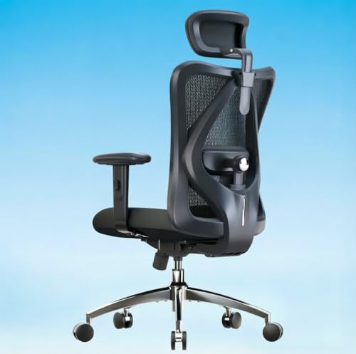 Image of SIHOO M18 Ergonomic Office Chair, Adjustable Headrest & Lumbar Support, High Back Mesh Desk Chair, Height Adjustable Armrests, Swivel Computer Chair for Home Office, Deep Black