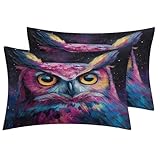 MPNVYU Owl Pillow Cases Standard Size Set of 2, Modern Fantasy Bird Animal Pillowcase for Bedroom Decor & Gift, Reversible Printed Decorative Bed Pillow Covers with Hidden Zipper a905