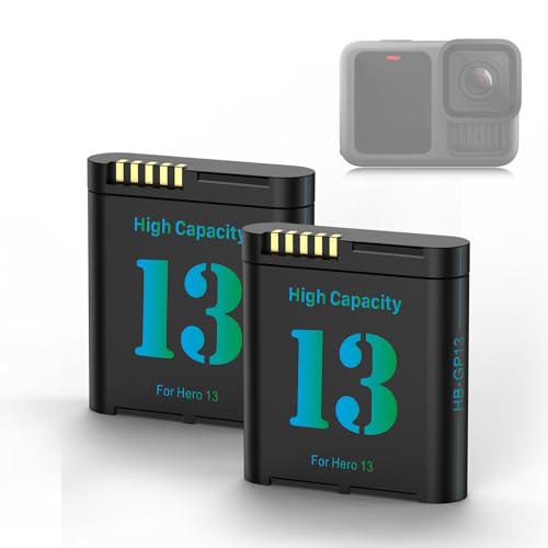 2-Stück Hero 13 Akku 2800mAh Ersatzakkus Typ-C LED Dreikanal-Ladegerät für Hero 13 Black Vollkompatibel mit Original(2 Stück Batterie)