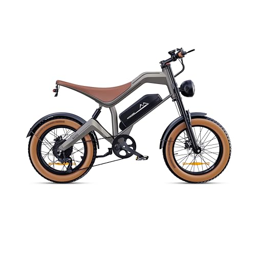 E Bike Herren, 20 * 4.0" All-Terrain Fat Reifen Elektrofahrrad mit 250W Motor 48V 18.2Ah Akku, bis 25km/h bis zu 161km, NFC-Karte 7-Gang Getriebe Hydraulische Bremsen, M20 – Bild 3
