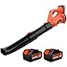 Soffiatore a Batteria, Bravolu 21V Soffiatore Foglie Elettrico, con Batteria da...