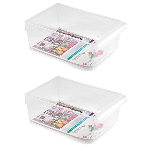 Acan Tradineur - Pack de 2 Cajones organizadores Reutilizables para frigorifico Nº 9 - Fabricado en poliestireno - Recipiente de plástico Transparente - 10 x 19,5 x 29 cm