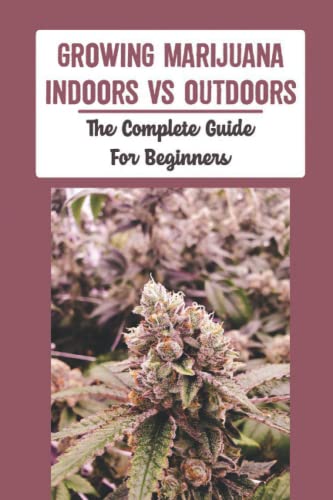Growing Marijuana Indoors Vs Outdoors Guide