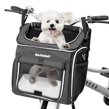electric bike with pet carrier