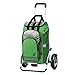 Produktbild Andersen Shopper Royal Plus mit kugelgelagertem Luftrad 25 cm und 60 Liter Einkaufstasche Hydro grün mit Kühlfach