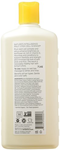 Andalou Naturals Sunflower And Citrus Brilliant Shine Shampoo, 11.5 Ounce #TOP1