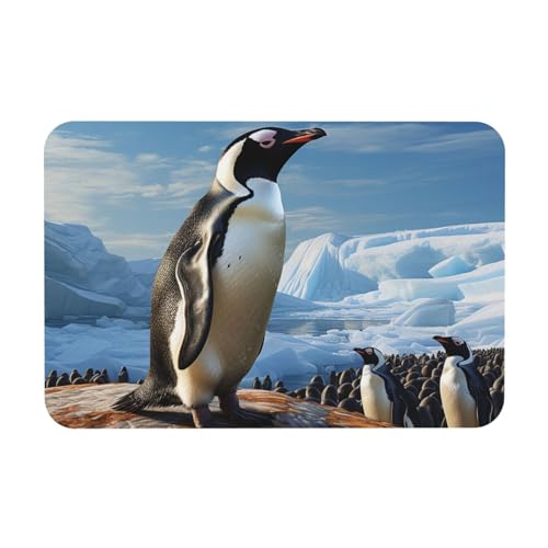 Tapis de bain en pierre terre de diatomée antidérapant et lavable 60x40