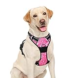 BARKBAY