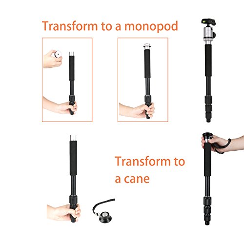 Image of Fotopro Camera Tripod 55 Inch Aluminum Ball Head Quick Release Plate Professional Camera Tripod for Travel Tripod Max Load Up to 17.6lbs /10kg