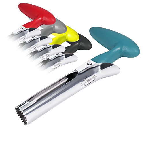 Newness Descorazonador de Manzanas, Acero Inoxidable Manzana o Pera Remover la Base de la Herramienta Cover