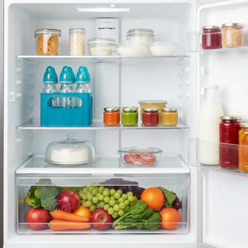 dBb-Remond 177249 Flaschenhalter Nu für 6 große und kleine Fläschchen, türkis transparent