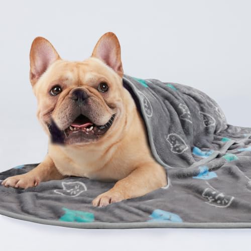Image of 1 Pack 3 Blankets Super Soft Fluffy Premium Cute Cat Pattern Pet Blanket Flannel Throw for Dog Puppy Kitten Blue /Cyan /Grey Small(23x16 inch)