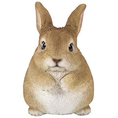 Hi-Line Gift Chubby Rabbit 87685-C Cover