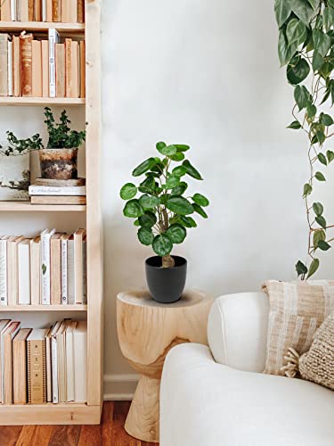 18 Inch Fake Money Tree Plant Indoor Potted Plants Artificial Guilfoyle Polyscias Tree Small Faux Plants In Black Pot Good Luck Excellent Gift Fortune Plants For Home Office Decor #TOP3