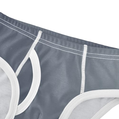 ODAWA Blue Grey Gradient Boys Cotton Briefs Soft Boys Underwear 6t Underwear4