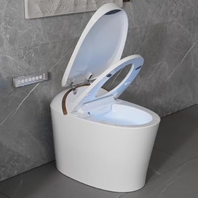 DeerValley Smart Toilet with Bidet Built In, Tankless Toilet with Heated Bidet Seat, Auto Flush, Warm Water & Dryer, Deodorization, and Remote Control