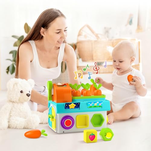 Image of Musical SortingToys for 1 Year Old Boy, 1st First Birthday Boy Girl Gifts Presents, Montessori Educational Learning Toddler Toy, Fine Motor Skills Toy
