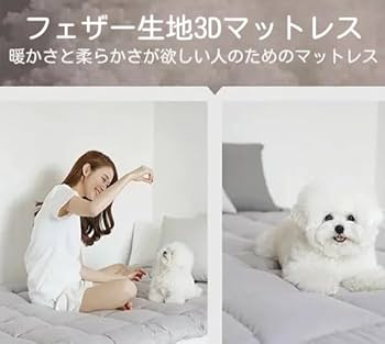 セミダブル マットレス専門ブランド 高反発マットレス 極厚 ベッドマットレス BTM マットレス セミダブル 高反発マットレス 一体式 腰痛対策