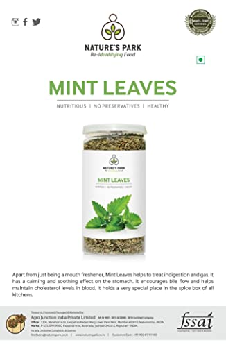Image of Nature's Park Herb - Dried Mint Leaves- 100% Natural & Sun Dried (Pudina Patta) Pet Jar (35gm)
