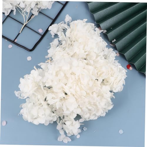 Alipis 1pack pétalos secos de hortensia blanca para manualidades miniatura 2