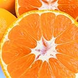 愛媛みかん 10kg verish 西宇和産 訳あり ご家庭用 サイズ混合