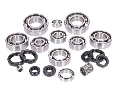 2EXTREME Kit roulements Moteur y Compris Joints SPI Compatible pour Rotax 122ccm Aprilia RS 125, RX, SX
