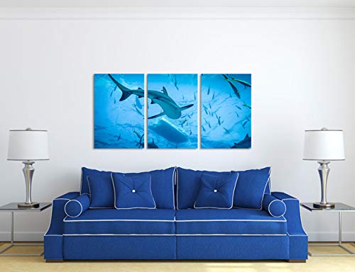 Homeoart Shark Pictures Ocean Fish Wall Art Ocean Underwater Animal Painting Framed Art Prints Home Wall Decor 16"X24"X3 Panels #TOP1
