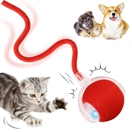Interactive Cat Toy Ball for Indoor Cats,2025 Upgraded Cat Toys for Bored Indoor Adult Cats,360° Smart Automatic Self Rolling Dog Ball Toys