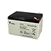 Price comparison product image Yuasa Yucel Y12-12 VRLA AGM 12 Volt 12.0Ah Battery