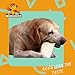 Premium Thick Cut Chips, Wholegrain Rawhide (Last Much Longer Than Traditional Chips). 100% Natural. Great Behavioral Dog Chew Treat Solution. No Preservatives. (5 Pounds)