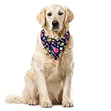 Lunarable Mexico Pet Scarf, Varieties of Mexican Items, 16' X 16'