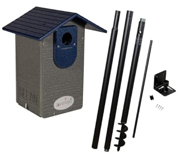 best birdhouses for western bluebirds