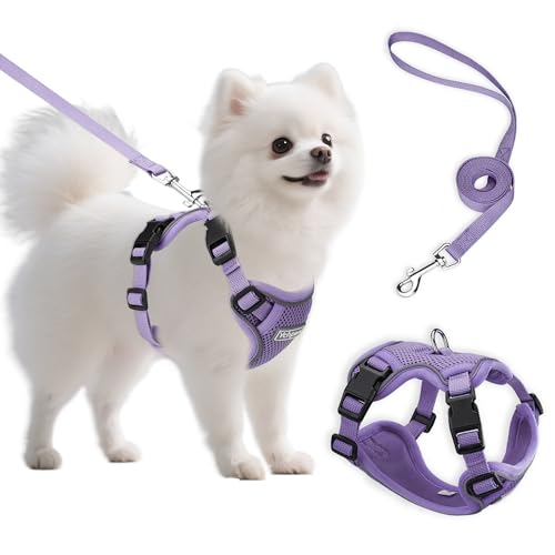 Small Dog Harness and Leash Set, Reflective Soft Breathable Mesh Vest, 3 Buckles, Adjustable Neck and Chest,Step in Dog Harness for Walking, Running, Training, Purple, S
