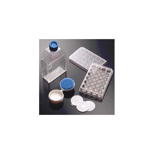 PLL 60MM Cult Dishes CS20