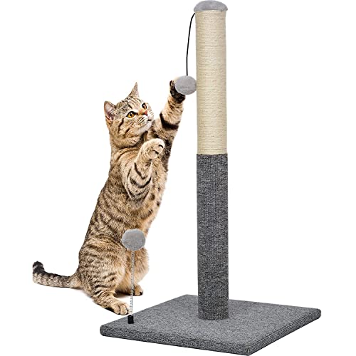 Find The Best Cat Scratching Post Carpet Reviews & Comparison Katynel