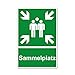 Produktbild XXL Sammelplatz Schild 30 x 40 cm aus stabiler PVC Hartschaumplatte 5 mm Sammelstelle Sammelpunkt mit UV-Schutz von STROBO