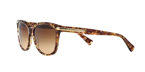Image of Coach womens Hc8132 Cat Eye Sunglasses