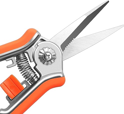 Garden Art 6.5 Inch Micro-Tip Pruning snip Gardening Hand Pruning Shears Trimming Scissors with Stainless Steel(Orange) GAHC058-2