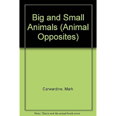 Big And Small Animals