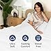 Queen Size 4 Piece Sheet Set - Comfy Breathable & Cooling Bed Sheets Set - Hotel Luxury Bedding for Women, Men, Kids, Teens, Boys & Girls - Deep Pockets, Ultra-Soft, Wrinkle Free - Oeko-Tex - White