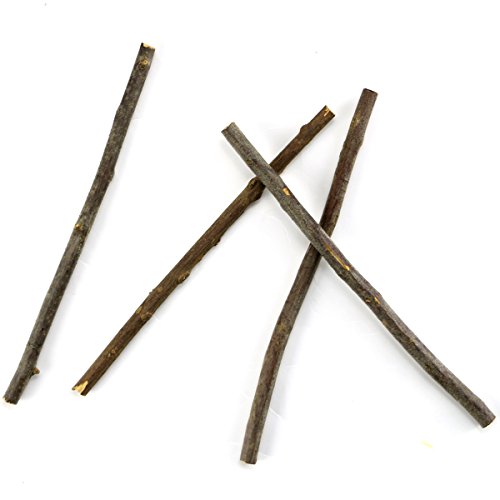 Tkonline 100Pcs 10Cm 0.1-0.2 Inch In Diameter Wood Log Sticks For Diy Crafts Photo Props Craft Sticks,Wood Crafts,Sticks Inch,Wood Sticks,Wood Craft Sticks,Photo Stick,Photo Props,Wood Logs #TOP2