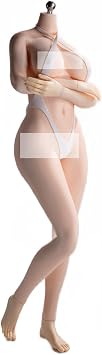 TBLeague PLLB2023-S52A 1/6 Scale Super Flexible Female Seamless Body Pale Skin 12 inch Collectible Doll Woman Action Figure Without Head Sculpt