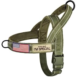 Forestpaw No Pull Dog Harness with Large Handle,Comfortable,XL,Green | Adjustable Fits Chest 32-39