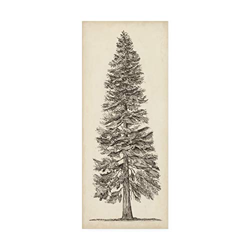 Trademark Fine Art Pacific Northwest Tree Sketch I by Melissa Wang, 20x47