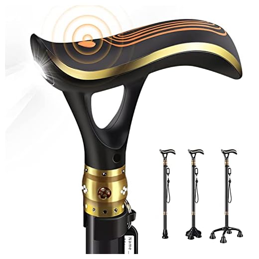 ispuoocti Smart Alarm Walking Cane